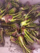 팜모닝 자유주제·자유게시판 게시글 이미지