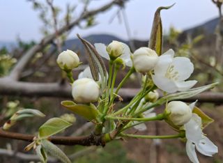 철남 김희곤님의 자유주제 · 자유게시판 작성글 사진