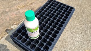 김지철님의 참깨 · 자유게시판 작성글 사진