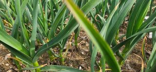 구춘봉님의 자유주제 · 자유게시판 작성글 사진