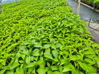 김영진(전남영광)님의 자유주제 · 자유게시판 작성글 사진