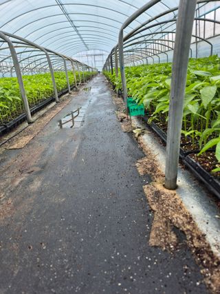 김영진(전남영광)님의 자유주제 · 자유게시판 작성글 사진