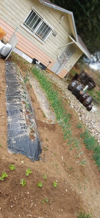 초보퍼머5도2촌준비님의 자유주제 · 자유게시판 작성글 사진