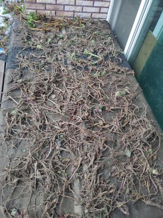 이현상님의 자유주제 · 자유게시판 작성글 사진