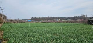 구춘봉님의 자유주제 · 자유게시판 작성글 사진