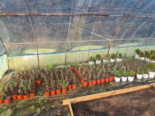 문혜정원님의 자유주제 · 자유게시판 작성글 사진