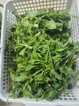 팜모닝 자유주제·자유게시판 게시글 이미지