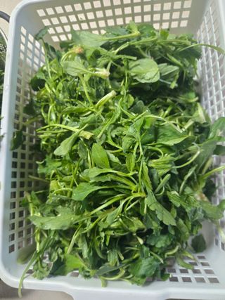 강원사랑인님의 자유주제 · 자유게시판 작성글 사진