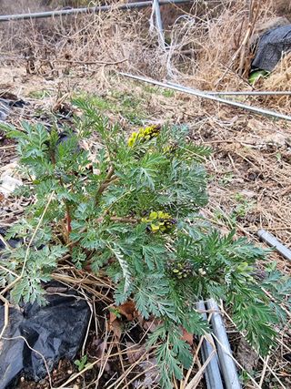 호랑이와인성이님의 자유주제 · 자유게시판 작성글 사진