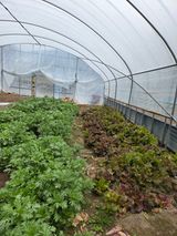 knlee님의 자유주제·자유게시판 작성글 사진