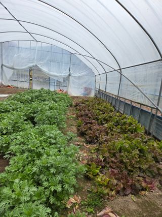 knlee님의 자유주제 · 자유게시판 작성글 사진