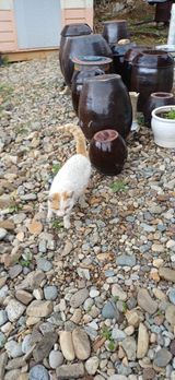 팜모닝 자유주제·자유게시판 게시글 이미지