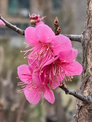 최동수님의 자유주제 · 자유게시판 작성글 사진