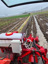 팜모닝 자유주제·자유게시판 게시글 이미지