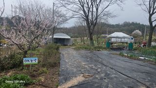 김기숙 님의 자유주제 · 자유게시판 작성글 사진