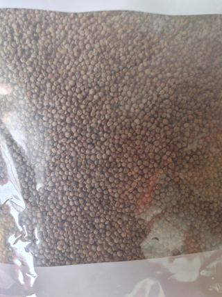 땅콩님의 작성글 사진