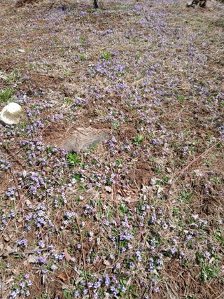 인생은 소풍처럼~님의 자유주제 · 자유게시판 작성글 사진