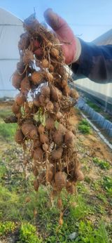 팜모닝 자유주제·자유게시판 게시글 이미지