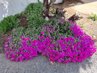 MSG0074님의 자유주제 · 자유게시판 작성글 사진