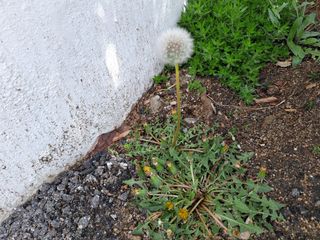 MSG0074님의 자유주제 · 자유게시판 작성글 사진