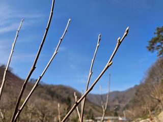 백용기님의 자유주제 · 자유게시판 작성글 사진