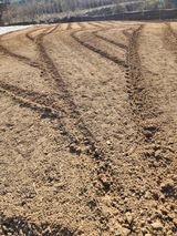 팜모닝 자유주제·자유게시판 게시글 이미지