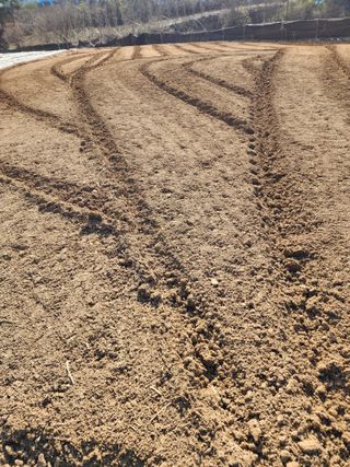 회사원&초보농사꾼님의 자유주제 · 자유게시판 작성글 사진