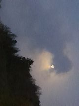 팜모닝 자유주제·자유게시판 게시글 이미지