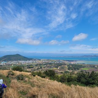 서귀포달코롬감귤농원님의 자유주제 · 사진전 작성글 사진