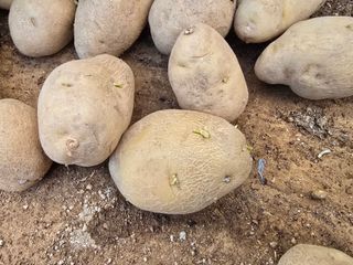 장관덕님의 자유주제 · 자유게시판 작성글 사진