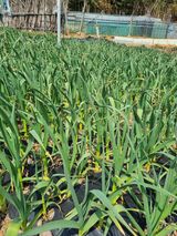 김선두님의 자유주제·자유게시판 작성글 사진