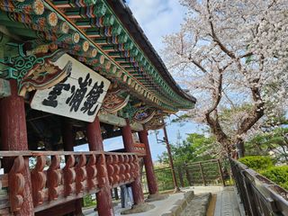 보람농장님의 자유주제 · 자유게시판 작성글 사진