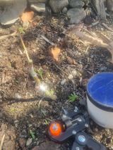 김용대님의 자유주제·자유게시판 작성글 사진