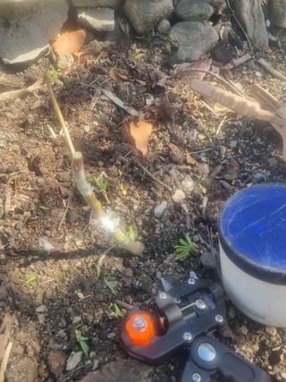 김용대님의 자유주제 · 자유게시판 작성글 사진