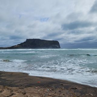 서귀포달코롬감귤농원님의 자유주제·사진전 작성글 사진