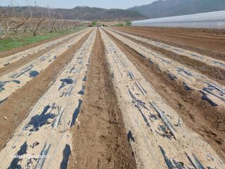 이창우님의 자유주제 · 자유게시판 작성글 사진