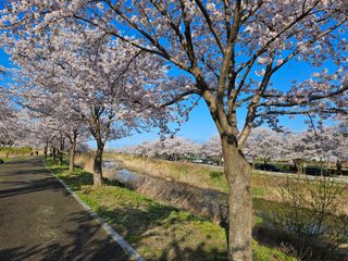 보람농장님의 자유주제·자유게시판 작성글 사진