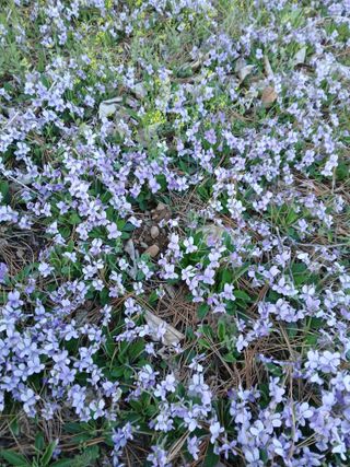 인생은 소풍처럼~님의 자유주제·자유게시판 작성글 사진