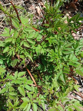 박수연님의 자유주제 · 자유게시판 작성글 사진