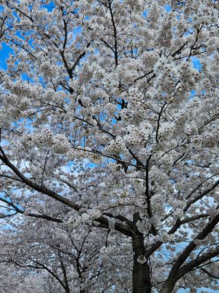 보람농장님의 자유주제 · 자유게시판 작성글 사진