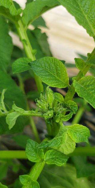 심기섭님의 자유주제 · 자유게시판 작성글 사진