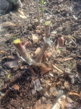 김용대님의 자유주제 · 자유게시판 작성글 사진