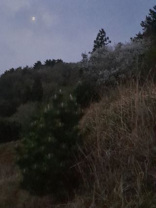 김민수산에서농사중님의 자유주제 · 자유게시판 작성글 사진