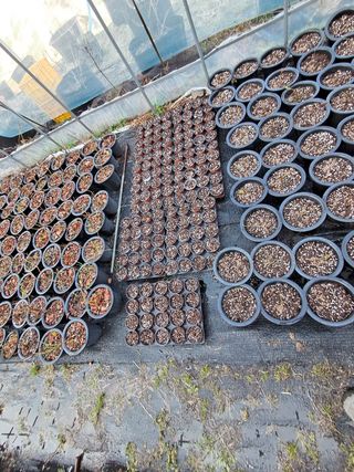 주일현님의 자유주제 · 자유게시판 작성글 사진