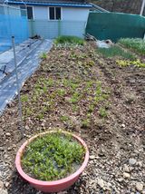 김경자님의 자유주제·자유게시판 작성글 사진