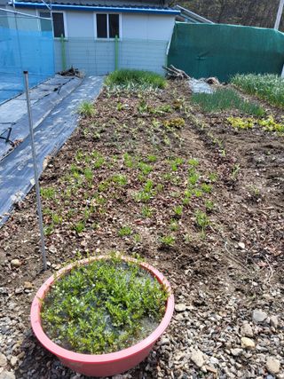 김경자님의 자유주제 · 자유게시판 작성글 사진