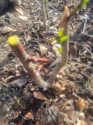 김용대님의 자유주제 · 자유게시판 작성글 사진