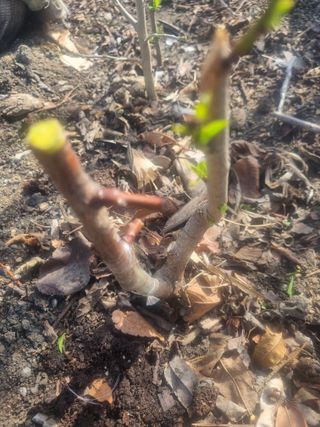 김용대님의 자유주제 · 자유게시판 작성글 사진