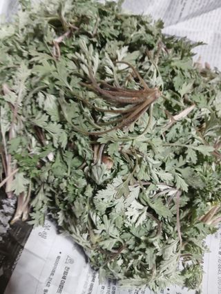 박수연님의 자유주제 · 자유게시판 작성글 사진