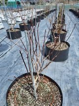 김경자님의 자유주제·자유게시판 작성글 사진